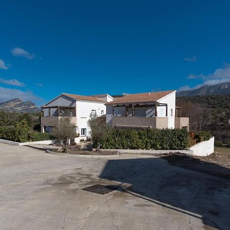 Le Clos D'Oletta Kültér fotó